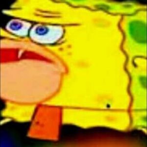 Meet your Posher, Noah